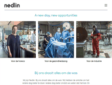 Tablet Screenshot of nedlin.com